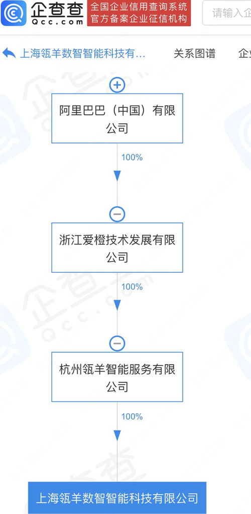 阿里巴巴旗下瓴羊數(shù)智科技公司落戶上海，加速數(shù)據(jù)處理與存儲服務布局